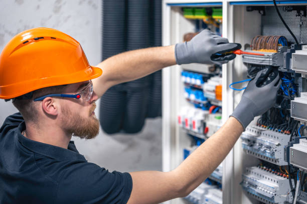 Best Electrical System Inspection  in Brownsville, KY